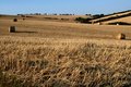 Free Marche Countryside Scene Stock Images - 2750704