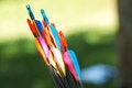 Free Arrows Royalty Free Stock Images - 2752079