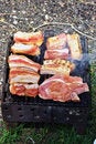 Free Steaks On Barbecue Royalty Free Stock Images - 2752229