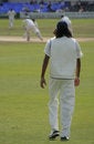 Free Cricket Fielder Stock Photo - 2754200