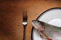 Free Trout Lunch Royalty Free Stock Photography - 2754527