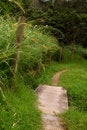 Free Get On The Path Stock Photos - 2757003