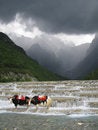 Free Yaks At Layered Waterfall Stock Photo - 2759320