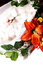 Free Flowers Royalty Free Stock Photos - 2751628