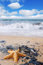 Free Starfish On Rocks Stock Images - 2754954