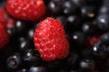 Free Raspberry And Blueberry Royalty Free Stock Photography - 2770527