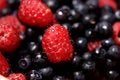 Free Raspberry And Blueberry Stock Photo - 2770550