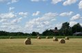 Free Gold Wheat Stock Photo - 2774110