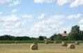 Free Gold Wheat Stock Images - 2774274