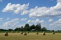 Free Gold Wheat Stock Photography - 2775292