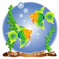 Free Tropical Fish Aquarium Clipart Royalty Free Stock Photos - 2776088
