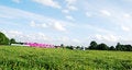 Free Beautifull Skies In Park Stock Photos - 2779973