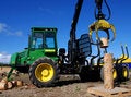 Free Wood Fellers` Contest Royalty Free Stock Image - 2783426