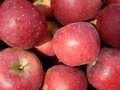 Free Red Apples Stock Photo - 27842500