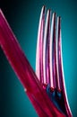Free Plastic Knife And Fork Royalty Free Stock Images - 2793149