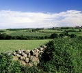 Free Asturias Spain Royalty Free Stock Photography - 2799707