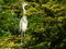 Free The Heron Stock Images - 2797814