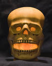 Free Spooky Halloween Skull Royalty Free Stock Images - 284439