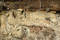 Free Rotted Sill Stock Photography - 281552