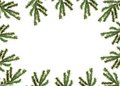 Free Christmas Tree Royalty Free Stock Photo - 2804925