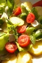 Free Vegetarian Salad Stock Photo - 2807440