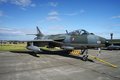 Free Hawker Hunter Royalty Free Stock Image - 2816286