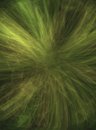 Free Wisp Stock Photo - 2819280