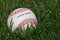 Free Official Baseball On The Grass Stock Photography - 2811382
