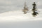 Free Lonely Tree Royalty Free Stock Photos - 2813188