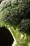 Free Broccoli Close Up Stock Image - 2815591