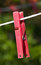 Free Clothes-peg Stock Photo - 2816830
