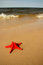 Free Shell_7 Stock Photo - 2819320