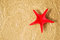 Free Shell_1 Stock Photos - 2819373