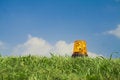 Free Alarm Signal In Grass Stock Image - 2821261
