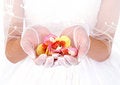 Free Bride And Petal Royalty Free Stock Photography - 2827317