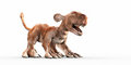 Free Cerberus Stock Image - 2832191