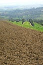Free Italian Vineyard Stock Image - 2832461