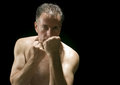 Free The Boxer Royalty Free Stock Images - 2833839