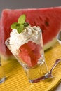 Free Melon Stock Photography - 2839632