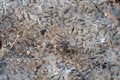 Free Abstract - Soil Background Royalty Free Stock Image - 2844566