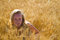 Free Pretty Woman In Wheat Field Stock Photography - 2844682