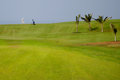 Free Golfer At Exotic Destination Royalty Free Stock Photography - 2862787