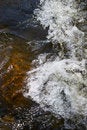 Free Rapids In A Small Creek Royalty Free Stock Photo - 2864015