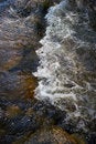 Free Small Rapids In A River Royalty Free Stock Photos - 2864038