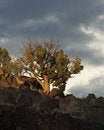 Free Impending Storm Stock Photos - 2864513