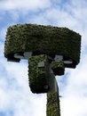 Free Military Radar Royalty Free Stock Photography - 2866487