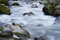 Free Small Creek With Rocks Royalty Free Stock Images - 2863899