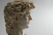 Free Replica Of David In Marble Royalty Free Stock Image - 2865686