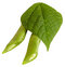 Free Cuted Young Bean Pods Royalty Free Stock Image - 2866396