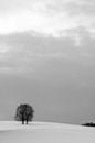 Free Winter Solitude Stock Images - 2870884